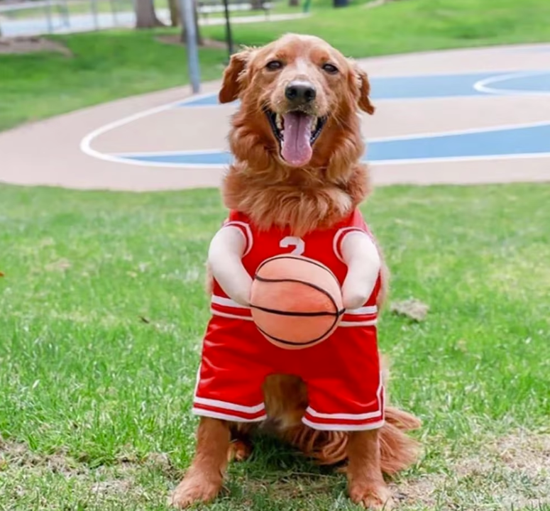 Dog Costume - Basketball Player with Ball