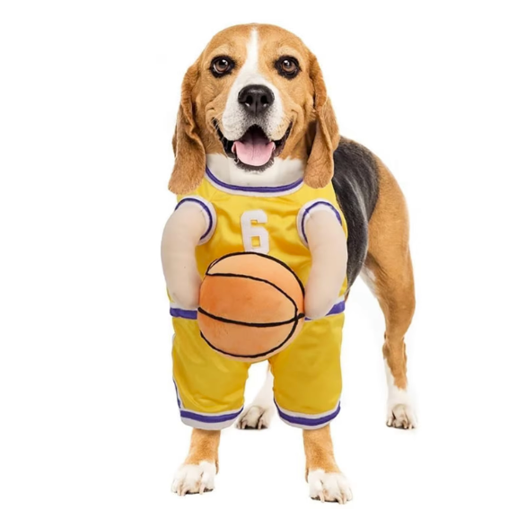 Dog Costume - Basketball Player with Ball