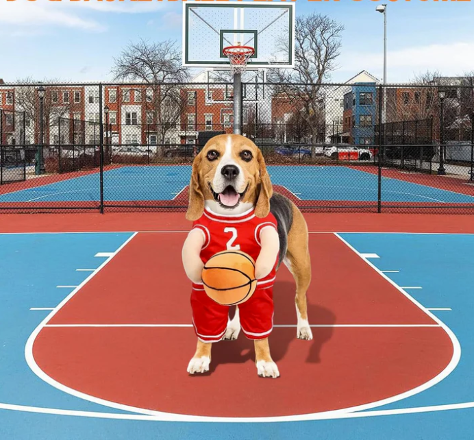 Dog Costume - Basketball Player with Ball